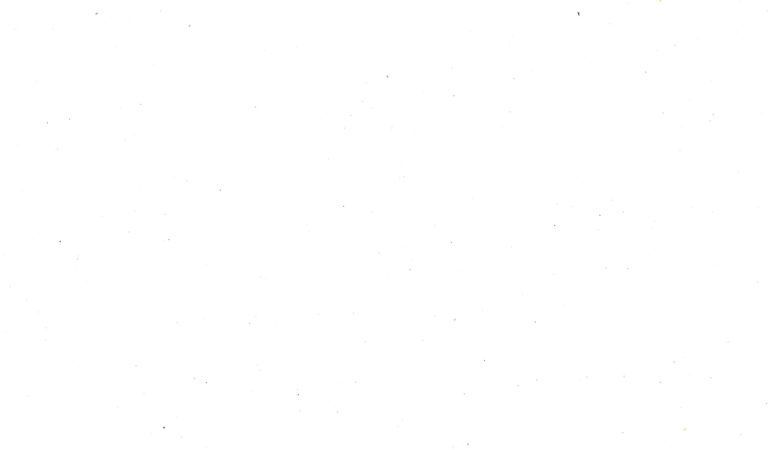 Lorem ipsum musum lorem ipsum